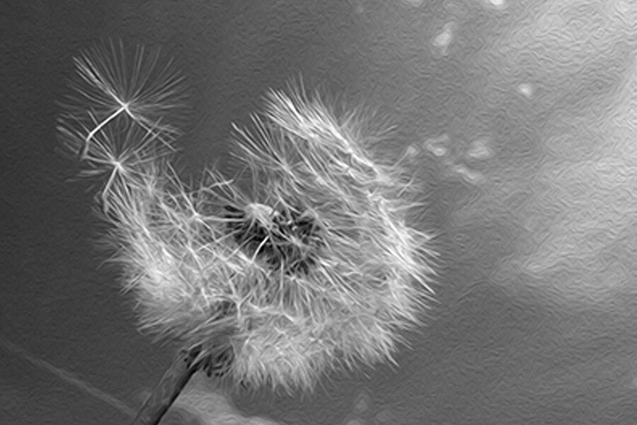 Disconnect And Start Appreciating Life