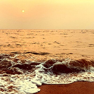 Startups, Intuition and Sri Aurobindo