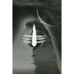 A Glimpse of Shiva