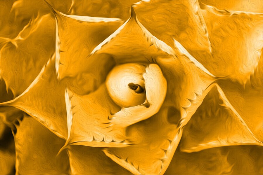 A Morphology of Vedic Creation Hymns