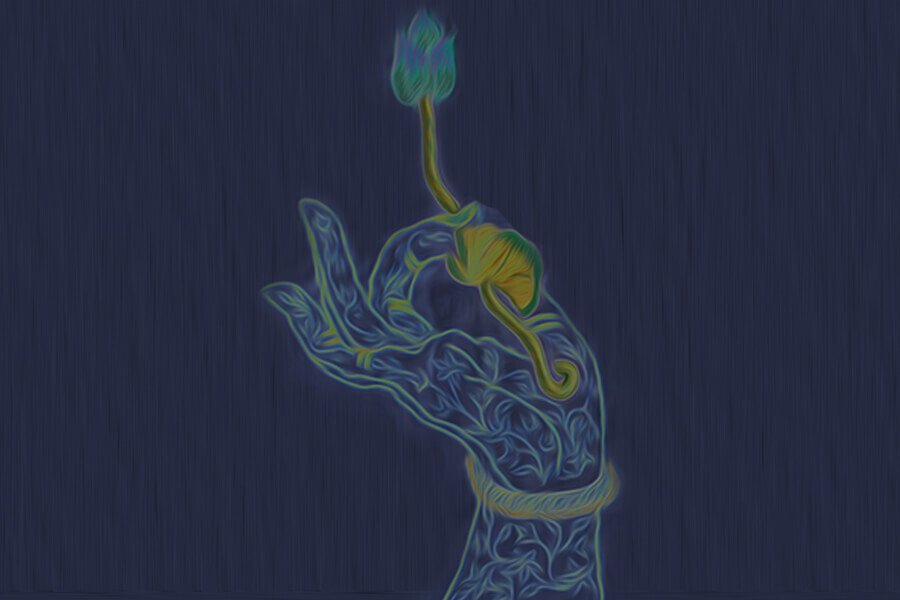 Ahimsa and Self-Realization