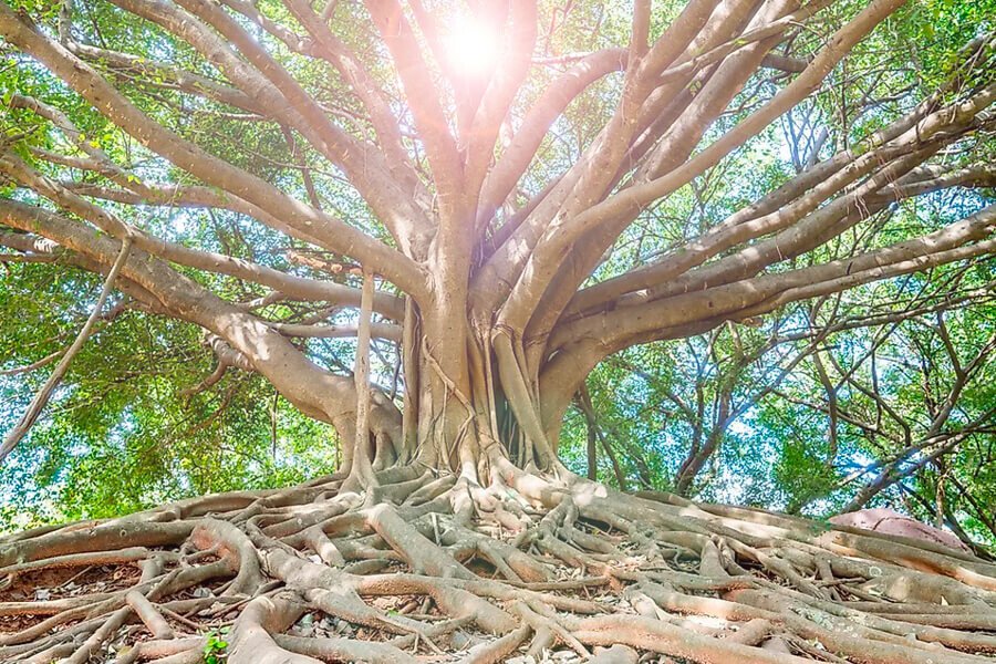 Ancient Indian Wisdom and Contemporary Challenges