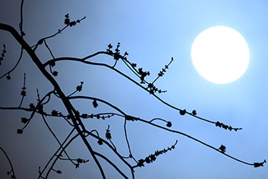 गुरु पूर्णिमा