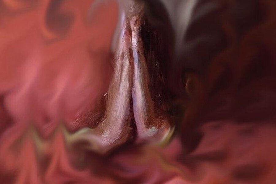 प्रधानमंत्री नरेंद्र मोदी को मेरा पत्र