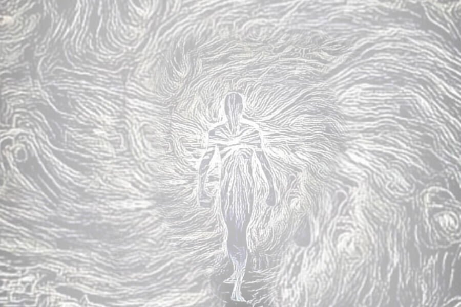 The Human Body : A Mystery’s Workshop