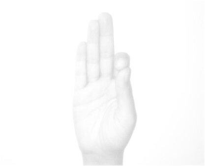 सनातन वर्णन के निर्माण की ओर