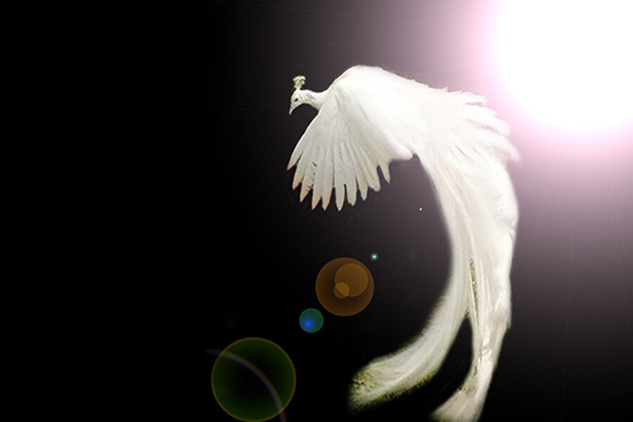 The Future of Religion