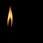 A Borrowed Light