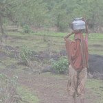The Parable Of The Milkmaid