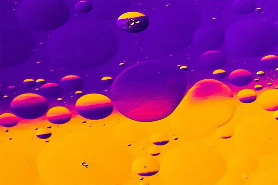 Oneness & Multiplicity