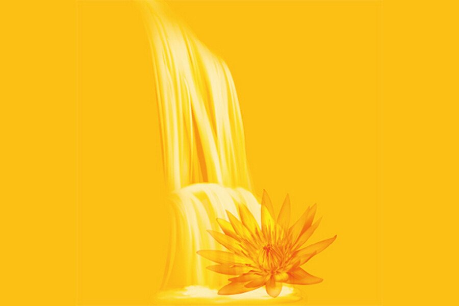 Sri Aurobindo and Indian Philosophy